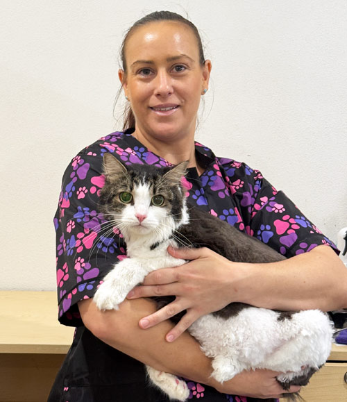 Nicole Scott Kitty Concierge